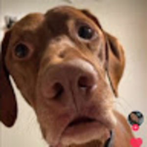 Meet your Posher, Chingona